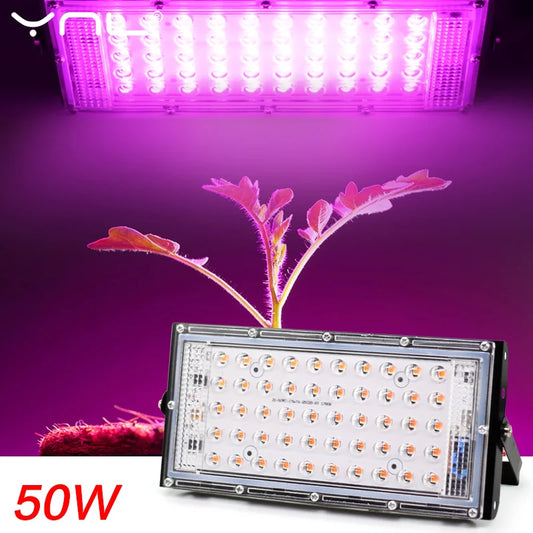 LED Grow Light Phyto Lamp AC 220V