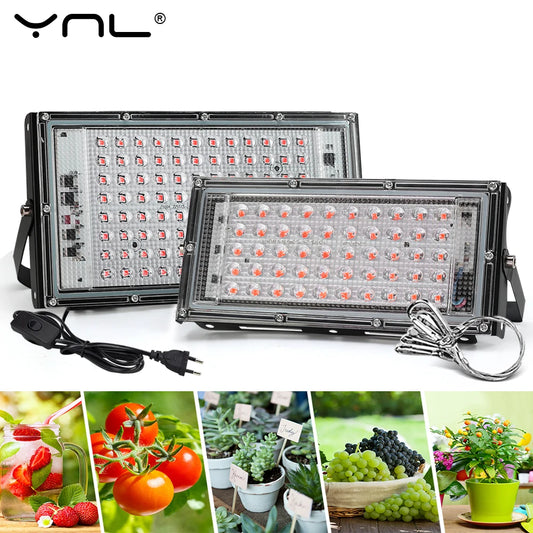 Full Spectrum LED Grow Light Phyto Lamp